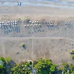 Arcadia Hotel Çıralı