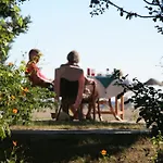 Szálloda Arcadia *