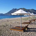 Arcadia Çıralı