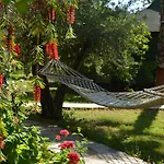Arcadia Çıralı