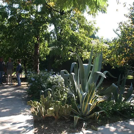 Arcadia Hotel Çıralı