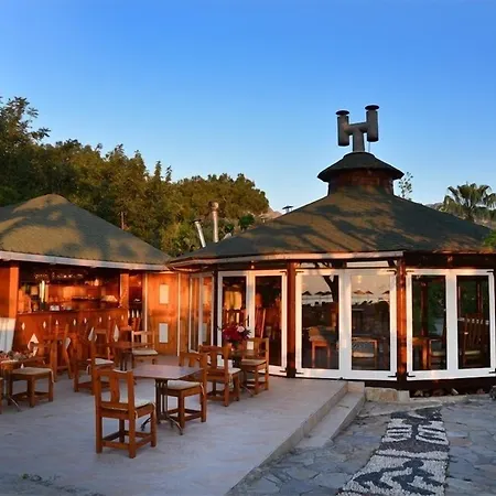 Arcadia Çıralı