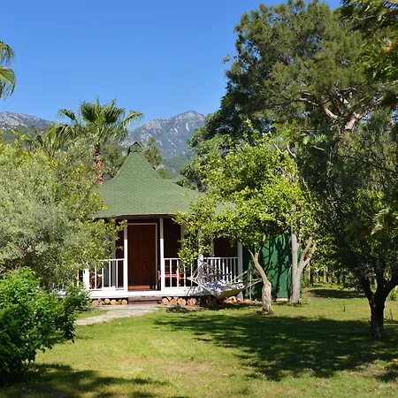 Hotel Arcadia Çıralı