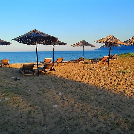 Arcadia Çıralı