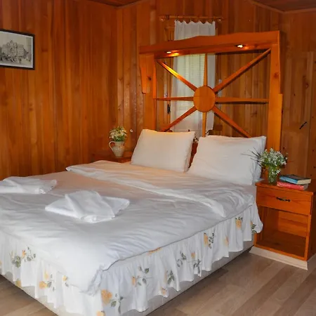 Hotel Arcadia *