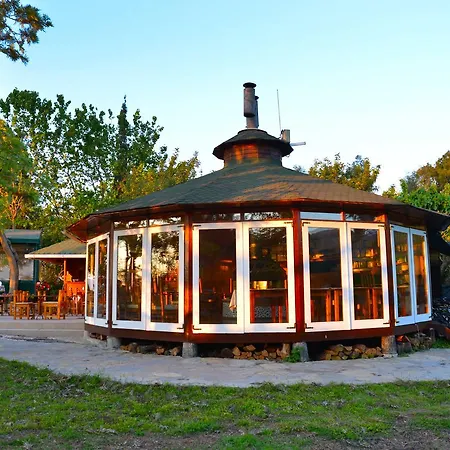 Arcadia *