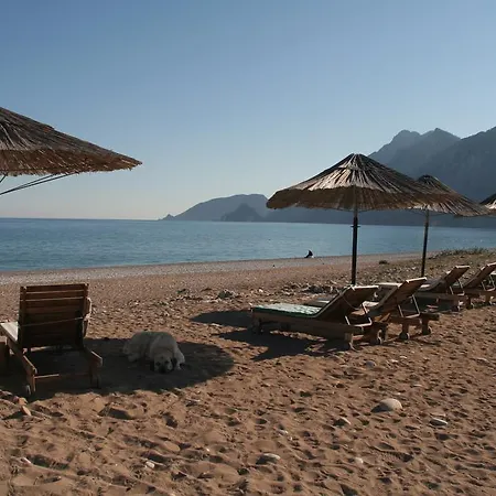 Hotell Arcadia