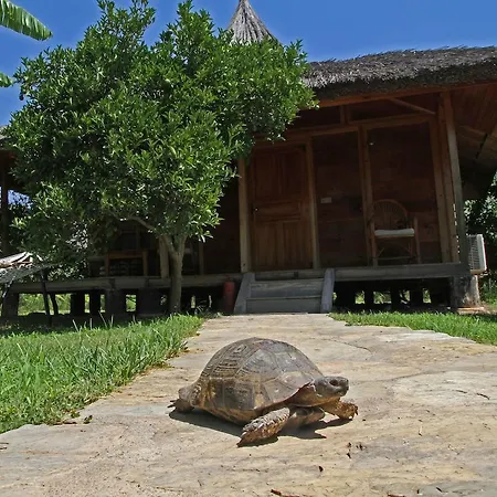 Hotell Arcadia *