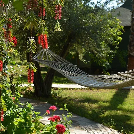 Arcadia Çıralı